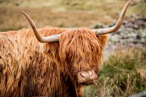 unsplash-image-CvI04S3uAA8