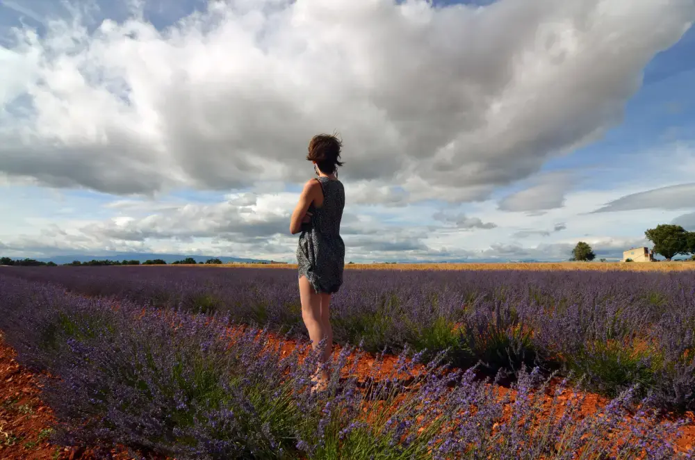 Take a stroll through the lavender fields surrounding Aix-en-Provence