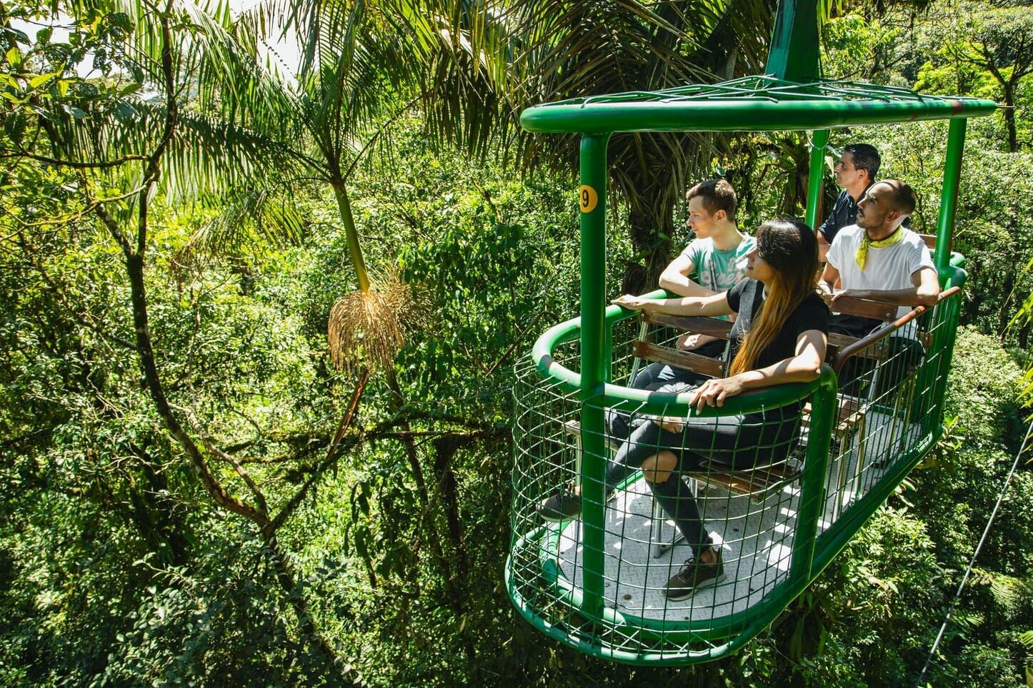 Rainforest Aerial Tram