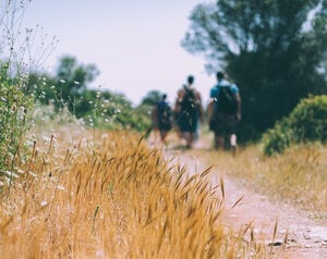 Hike Mont Sainte-Victoire