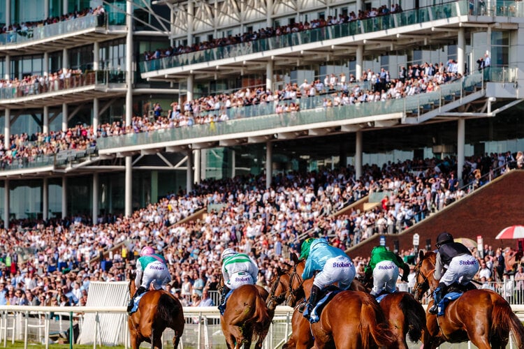 <span>Watch a horse race at Madrid’s most emblematic and traditional horse racing stadium, Hipódromo de la Zarzuela</span>