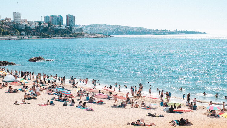 <span>Take a break from studying and head to one of Viña del Mar’s beaches</span>